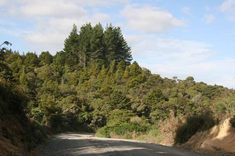 Nieuw-Zeeland 2011 - 0278